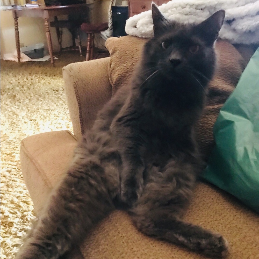 Meet your Posher, Nathnathaniel